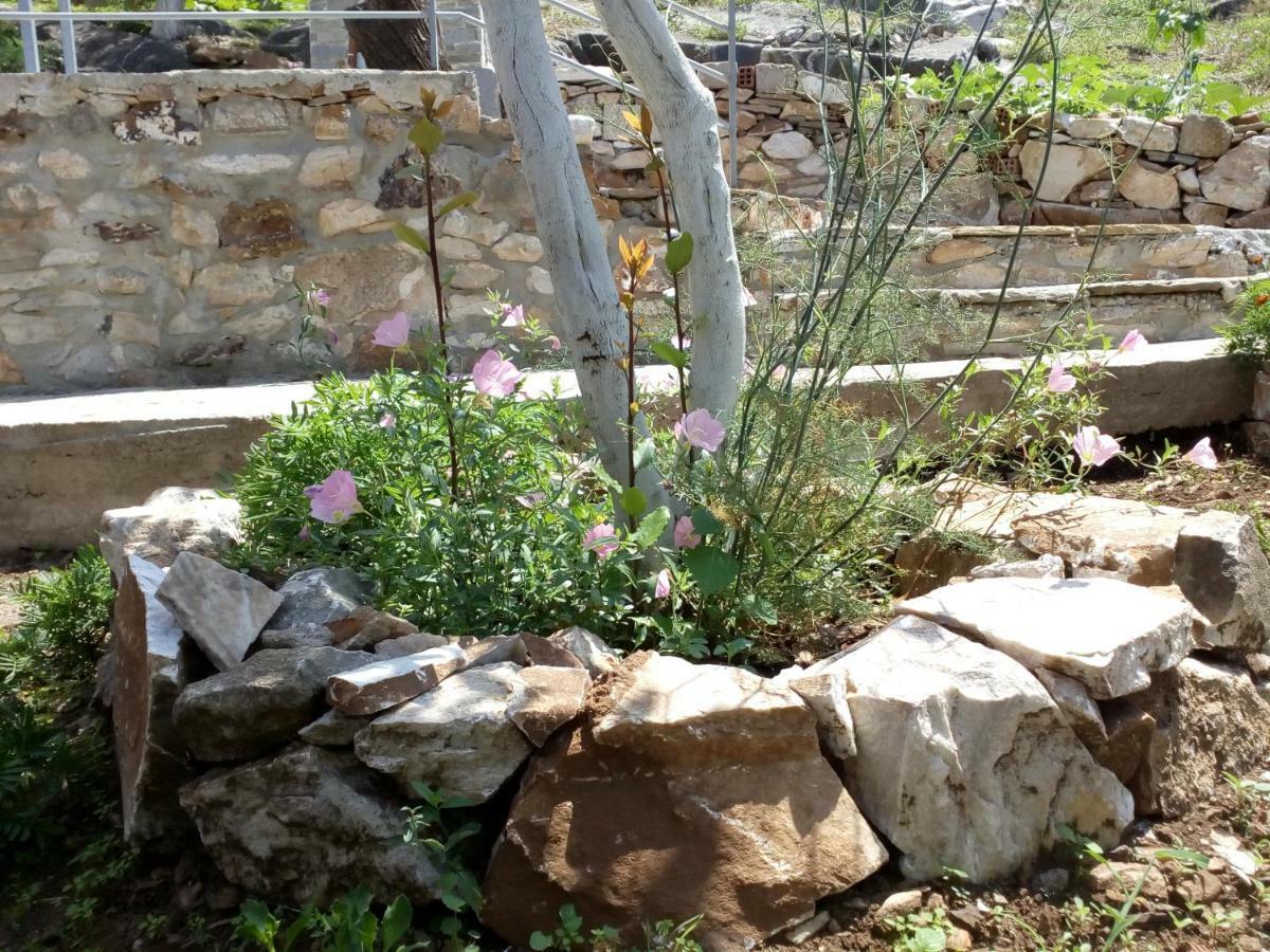 Dimitra'S Garden Villa Kallirakhi Exterior photo